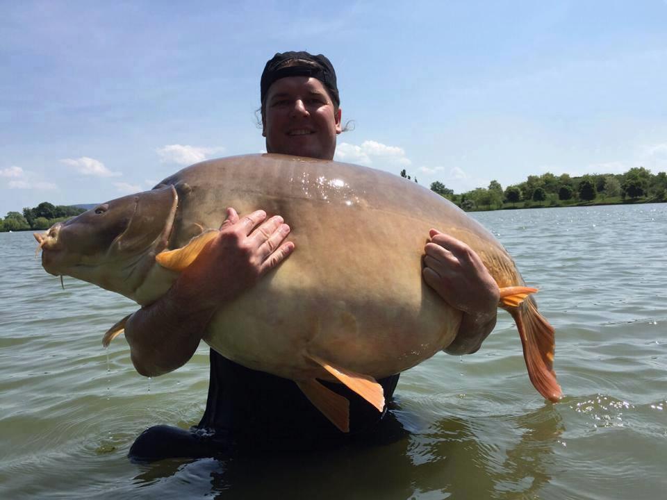 Recordul mondial de crap oglinda este de 47,8 kg